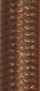karbon